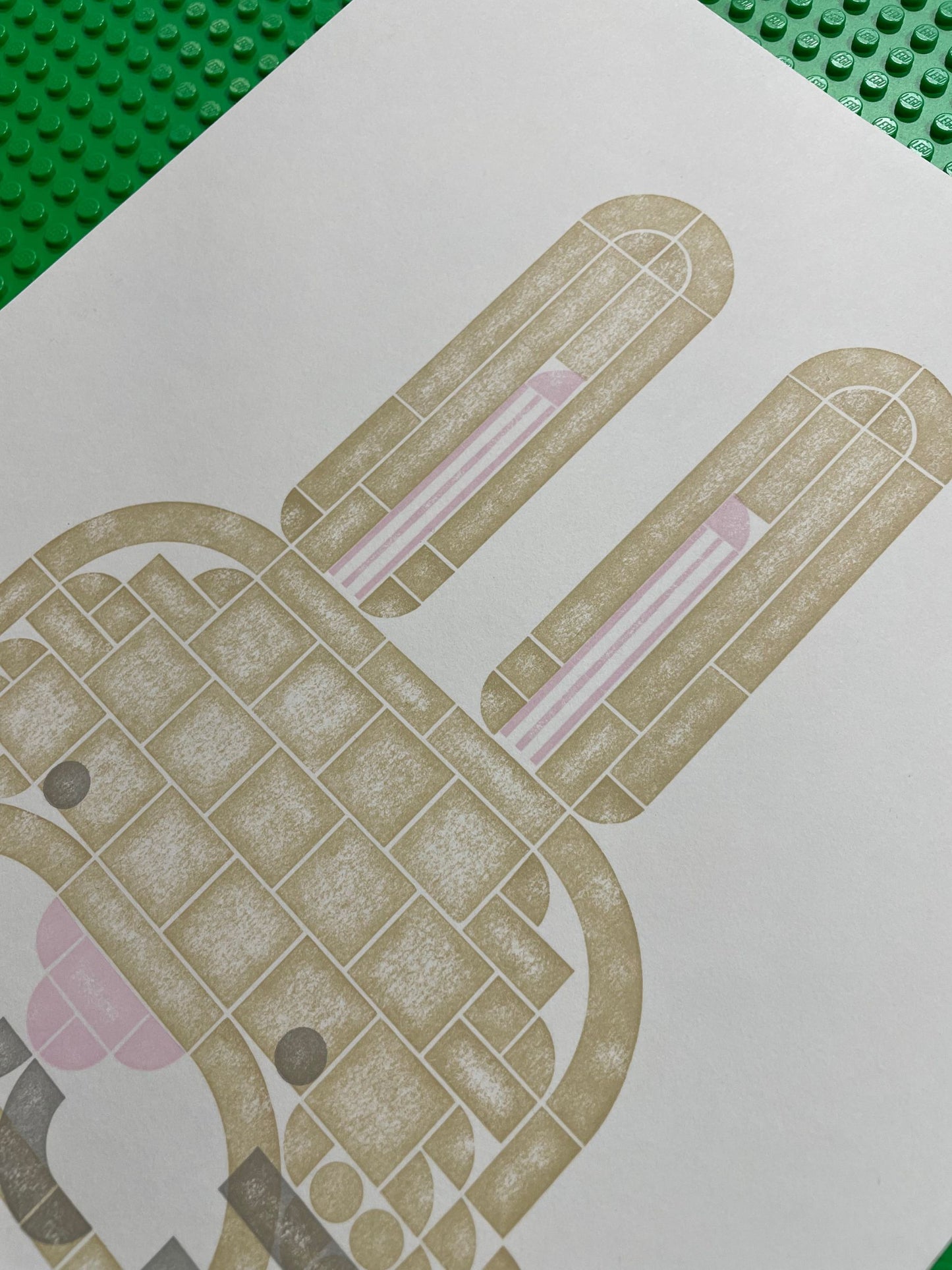 Close up of Year of the Rabbit Art Print