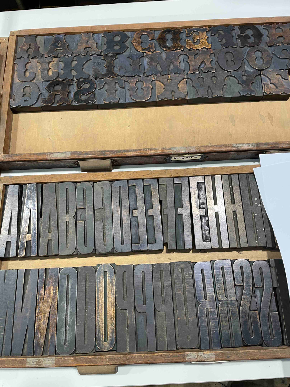 Two cases of wood type