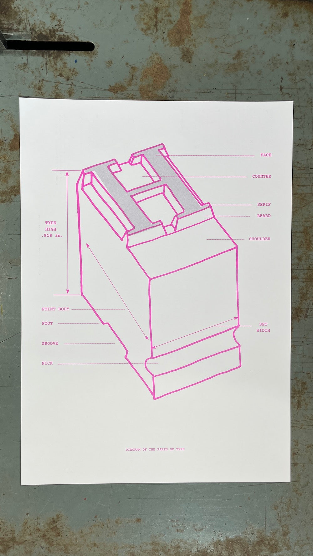 A white poster featuring a pink line drawing of a diagram of the parts of type with labeled parts, displayed on a textured, weathered gray metal surface.