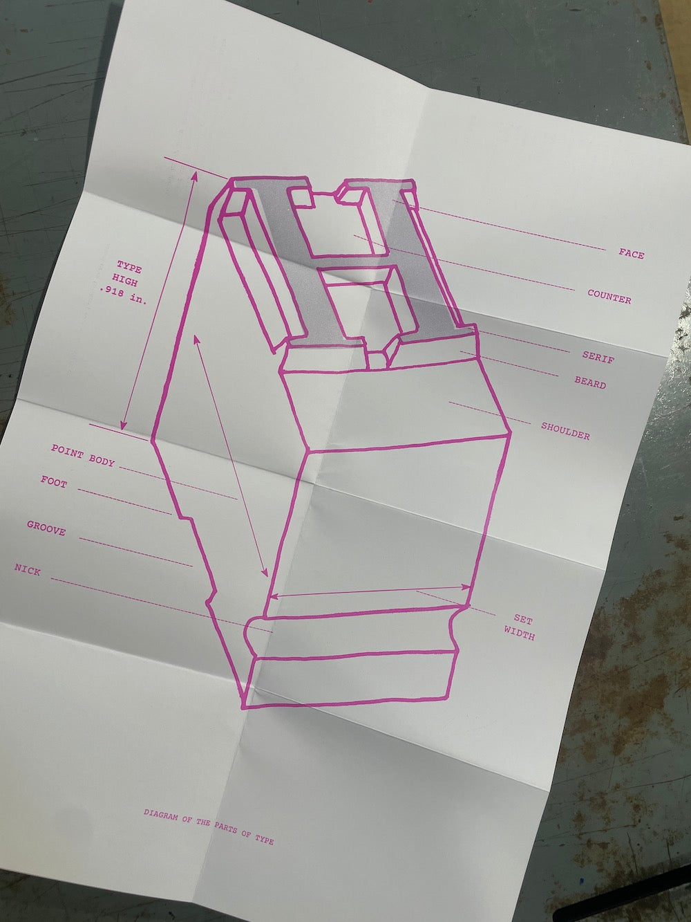 A white poster (unfolded) laid on a gray workbench, printed with a pink line drawing and labels of a block-style letterform, including Face, Counter, Serif, Bead, Shoulder, Point Body, Groove, and H.